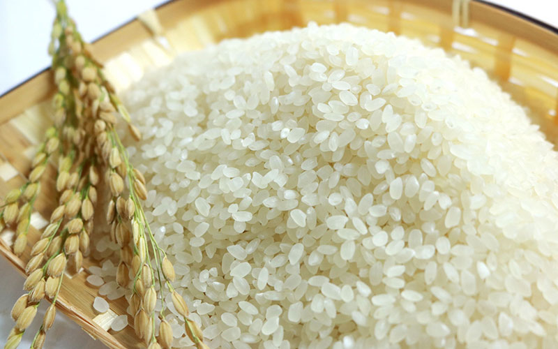 宮崎農園のお米